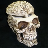 stash skull