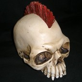 Mohawk skull