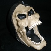 skull ashtray